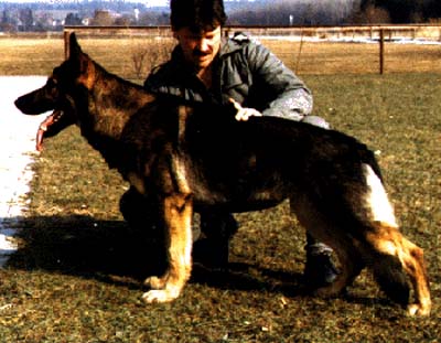Andy  von der Bid saule