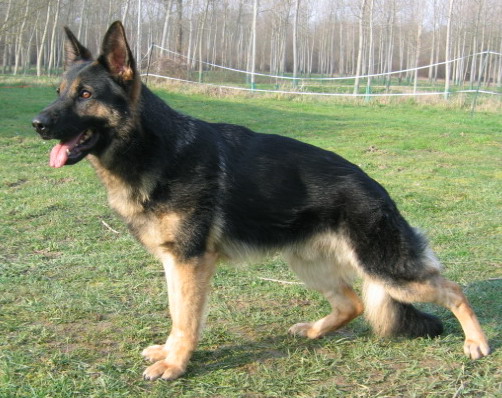 Azimix du val des Hurles vent