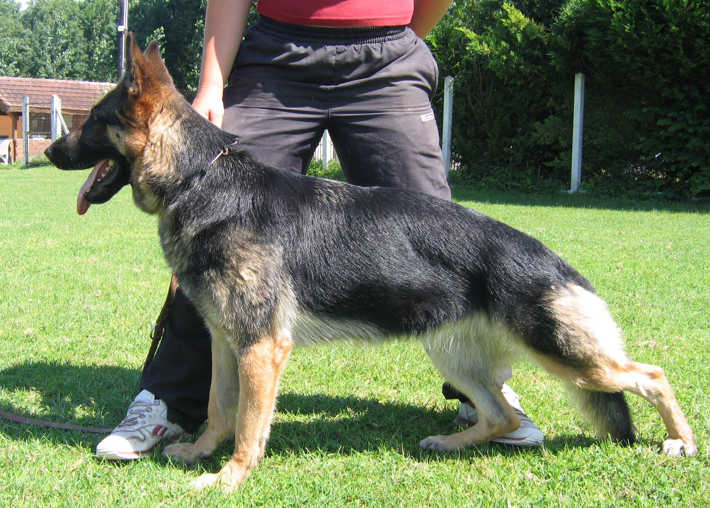 BB du val des Hurles vent