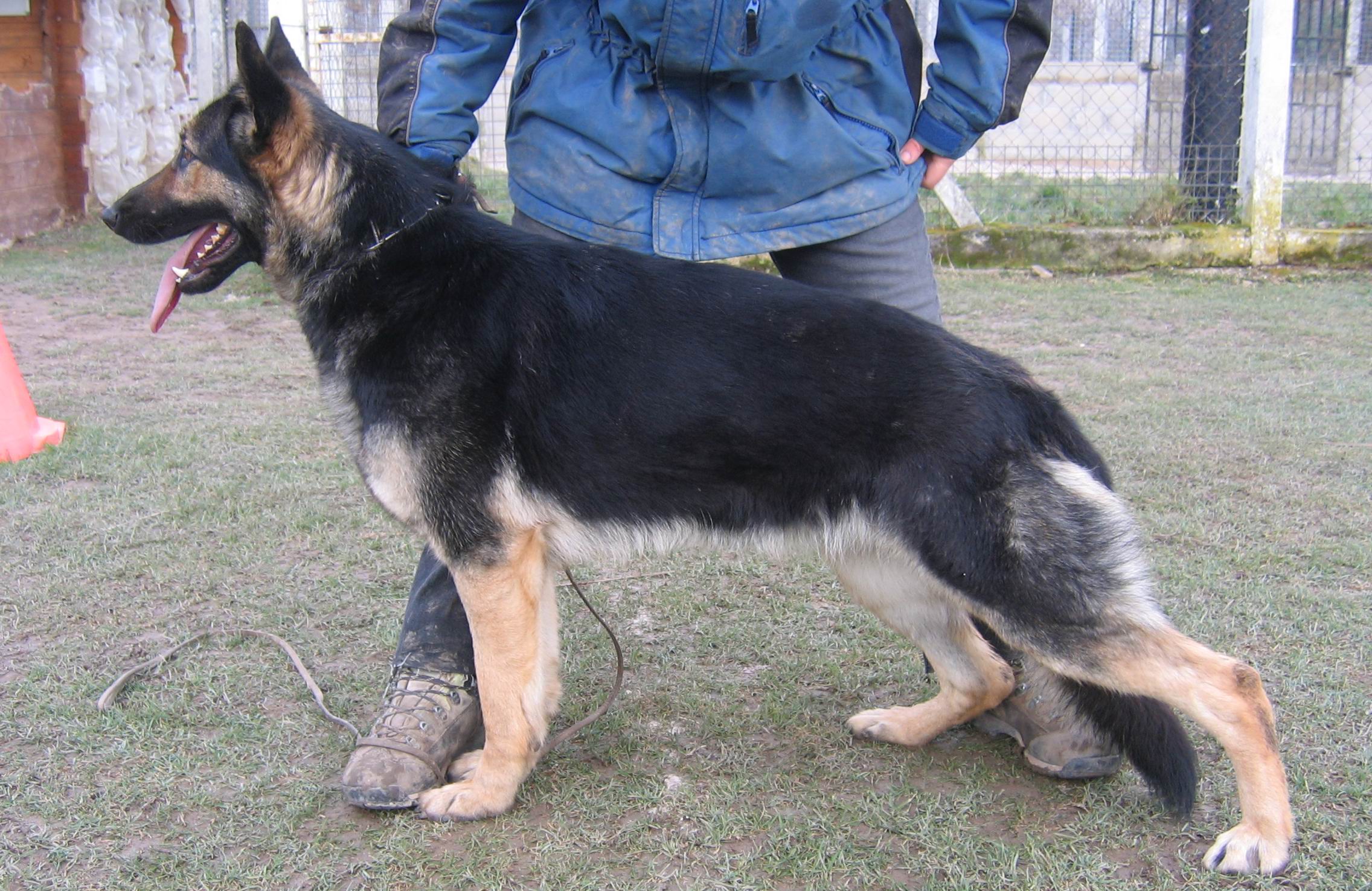 Bergamotte du val des Hurles vent