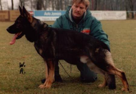 Boomer vom Emsbogen