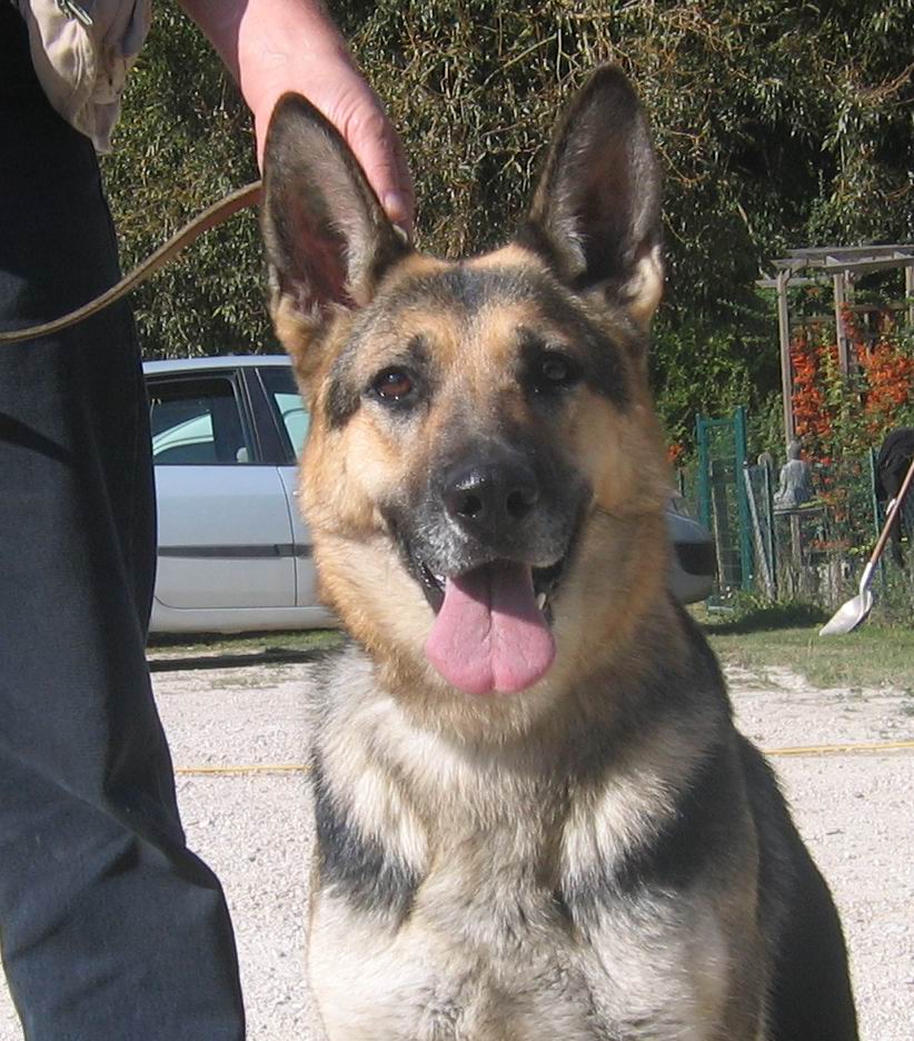 Chukie du val des Hurles vent