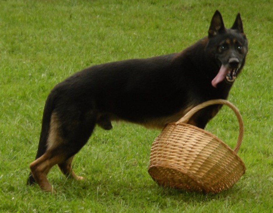 Dargo du Val des Hurles Vent
