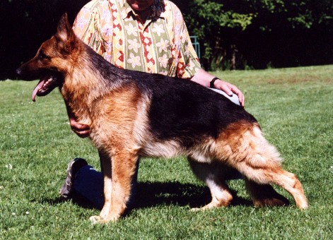 Don  von Aurelius