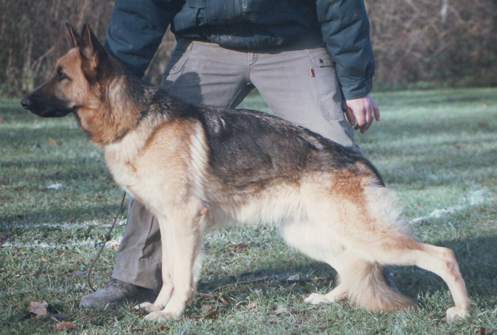 Epi d Or du val des Hurles vent