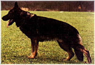 Fado von Kartago