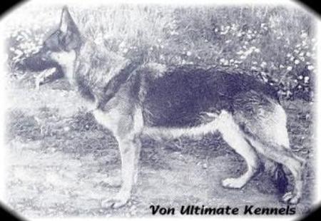 Jana vom Glockeneck