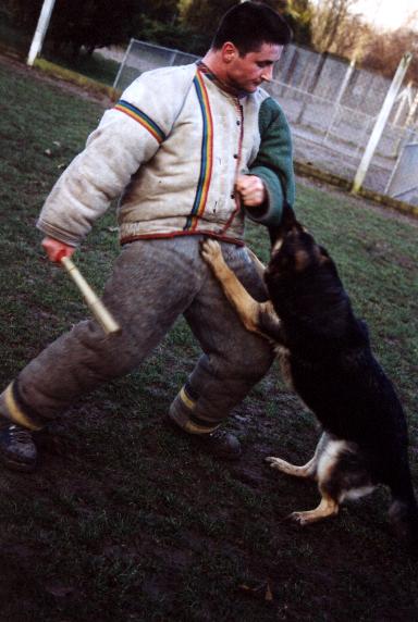 Mascotte du val des Hurles vent