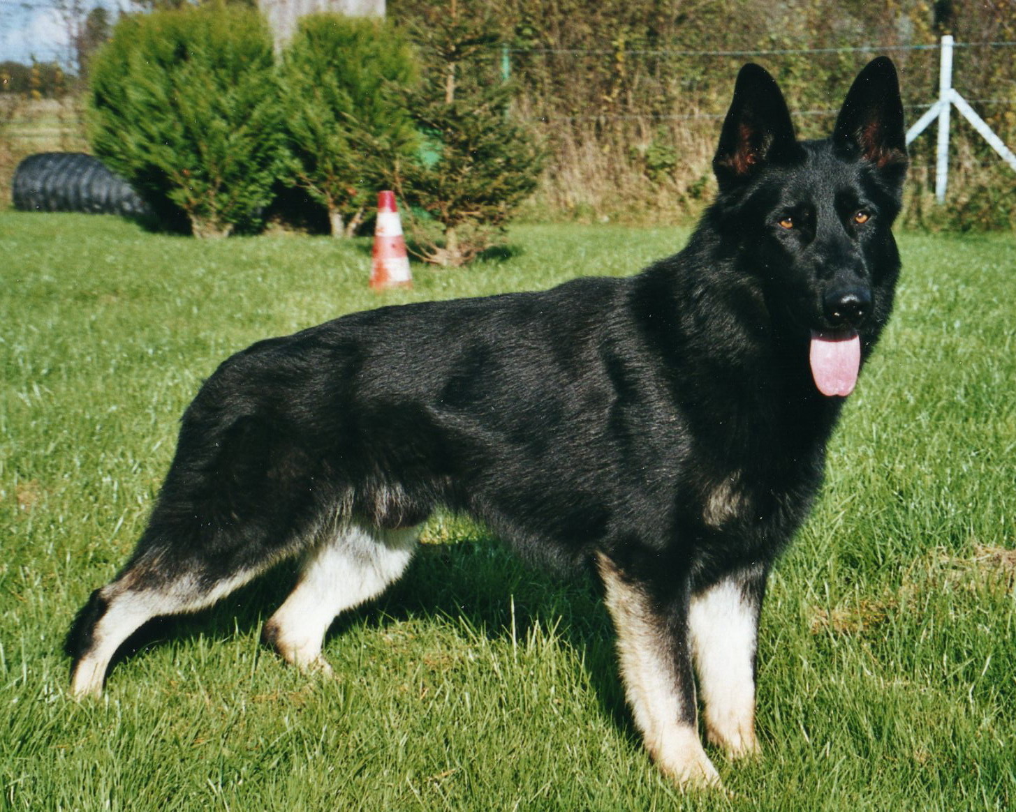 Onyx du domaine du Baroeul