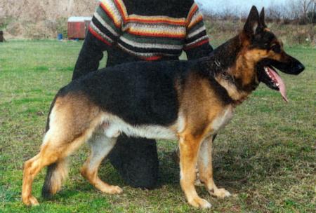 Orly von Barenfang