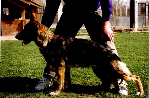 Oully du val des Hurles vent