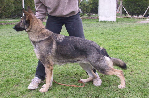 Princesse du val des Hurles vent