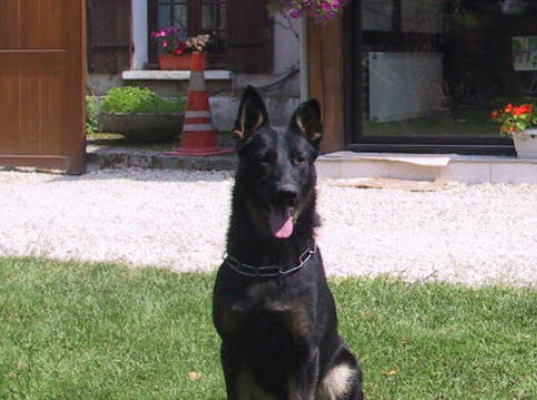 Saika du val des Hurles vent