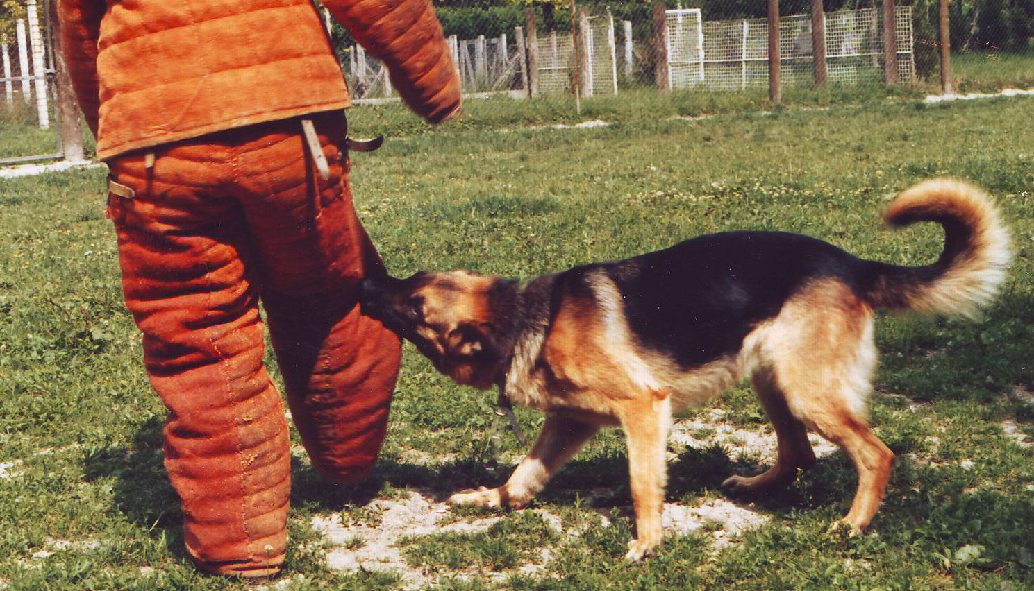 Slinda du val des Hurles vent