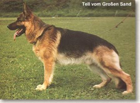 Tell vom Grosen sand